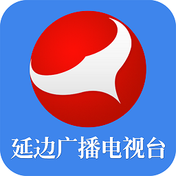 爱游戏体彩国际的安全性与用户保障